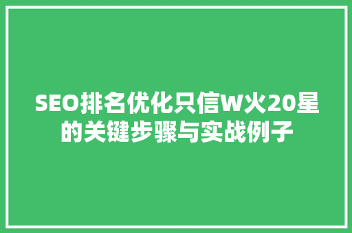 SEO排名优化只信W火20星的关键步骤与实战例子