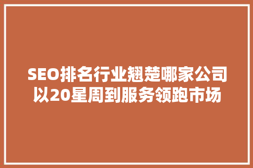 SEO排名行业翘楚哪家公司以20星周到服务领跑市场