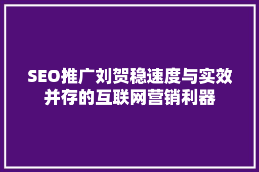 SEO推广刘贺稳速度与实效并存的互联网营销利器