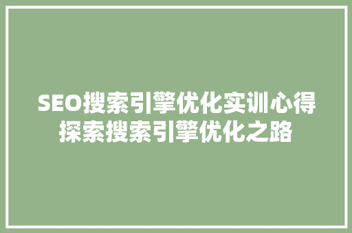 SEO搜索引擎优化实训心得探索搜索引擎优化之路
