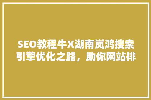 SEO教程牛X湖南岚鸿搜索引擎优化之路，助你网站排名飙升