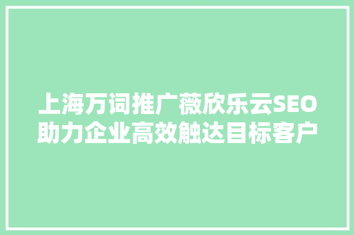 上海万词推广薇欣乐云SEO助力企业高效触达目标客户，开启数字营销新篇章