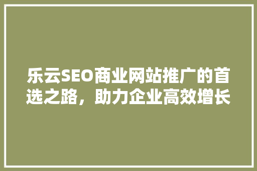 乐云SEO商业网站推广的首选之路，助力企业高效增长