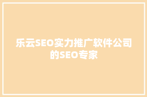 乐云SEO实力推广软件公司的SEO专家  第1张