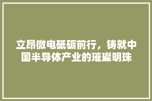 立昂微电砥砺前行，铸就中国半导体产业的璀璨明珠