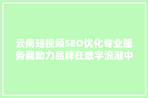 云南短视频SEO优化专业服务商助力品牌在数字浪潮中乘风破浪