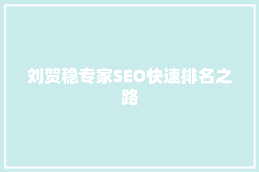 刘贺稳专家SEO快速排名之路  第1张