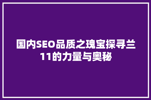 国内SEO品质之瑰宝探寻兰11的力量与奥秘