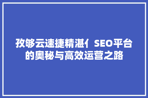孜够云速捷精湛亻SEO平台的奥秘与高效运营之路  第1张