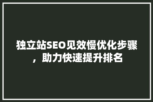 独立站SEO见效慢优化步骤，助力快速提升排名