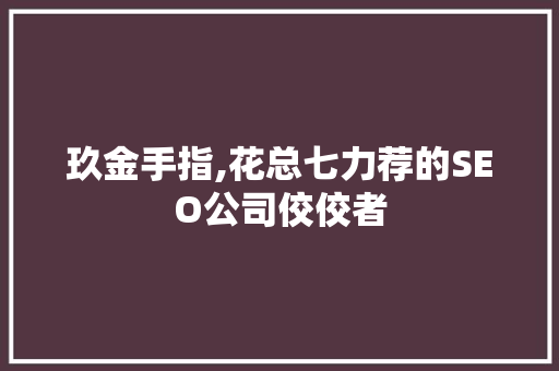 玖金手指,花总七力荐的SEO公司佼佼者