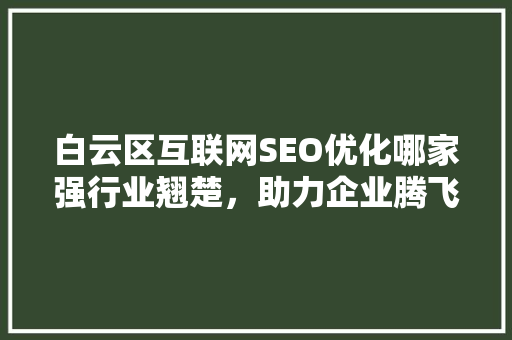 白云区互联网SEO优化哪家强行业翘楚，助力企业腾飞