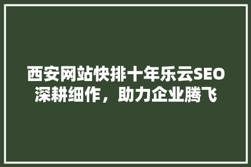 西安网站快排十年乐云SEO深耕细作，助力企业腾飞