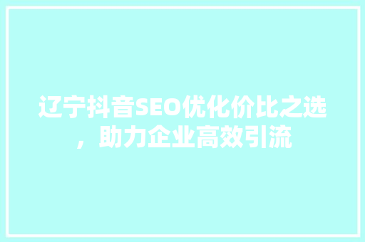 辽宁抖音SEO优化价比之选，助力企业高效引流