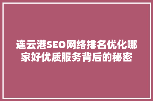 连云港SEO网络排名优化哪家好优质服务背后的秘密