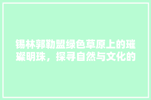 锡林郭勒盟绿色草原上的璀璨明珠，探寻自然与文化的交融之美