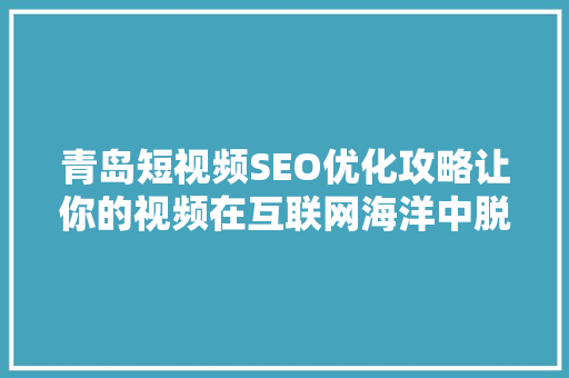 青岛短视频SEO优化攻略让你的视频在互联网海洋中脱颖而出