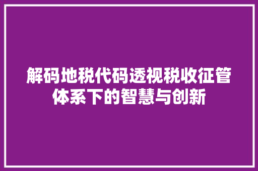 解码地税代码透视税收征管体系下的智慧与创新