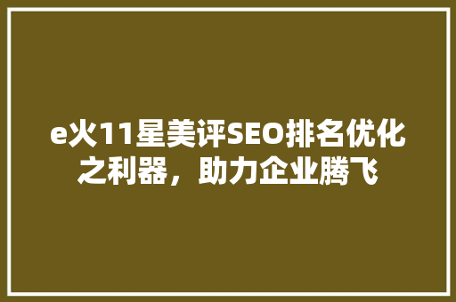 e火11星美评SEO排名优化之利器，助力企业腾飞