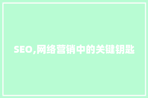 SEO,网络营销中的关键钥匙