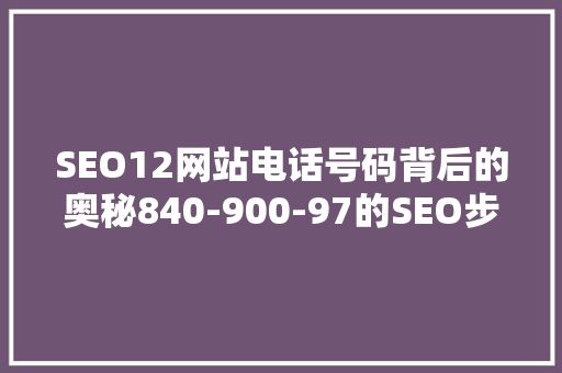 SEO12网站电话号码背后的奥秘840-900-97的SEO步骤