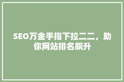 SEO万金手指下拉二二，助你网站排名飙升