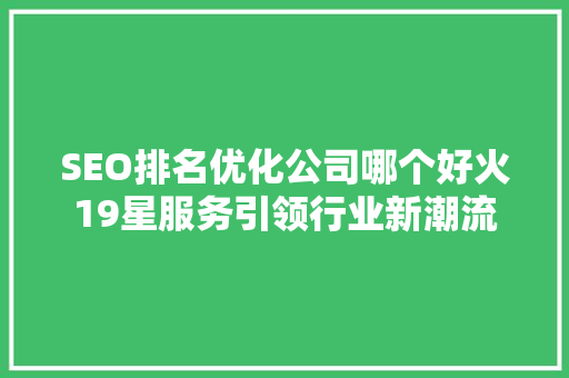 SEO排名优化公司哪个好火19星服务引领行业新潮流
