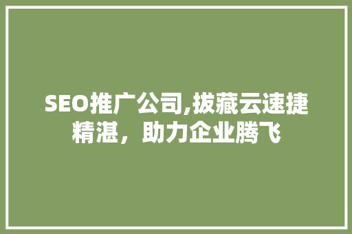 SEO推广公司,拔藏云速捷精湛，助力企业腾飞
