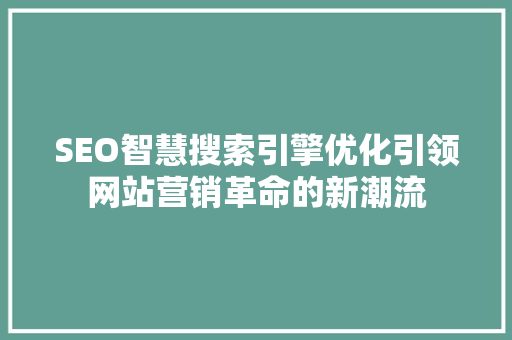 SEO智慧搜索引擎优化引领网站营销革命的新潮流