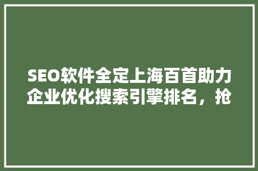 SEO软件全定上海百首助力企业优化搜索引擎排名，抢占市场先机