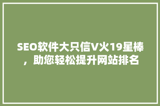 SEO软件大只信V火19星棒，助您轻松提升网站排名