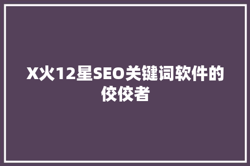 X火12星SEO关键词软件的佼佼者