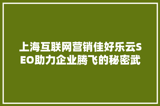 上海互联网营销佳好乐云SEO助力企业腾飞的秘密武器