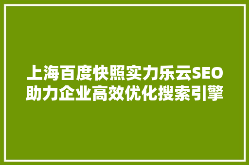 上海百度快照实力乐云SEO助力企业高效优化搜索引擎排名