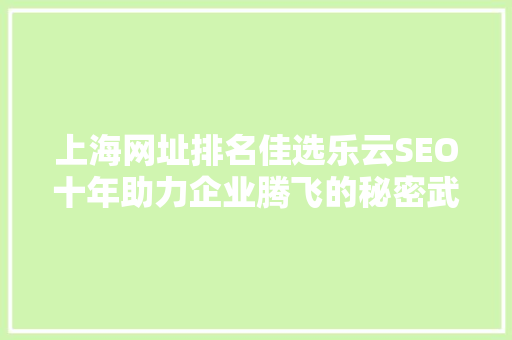 上海网址排名佳选乐云SEO十年助力企业腾飞的秘密武器
