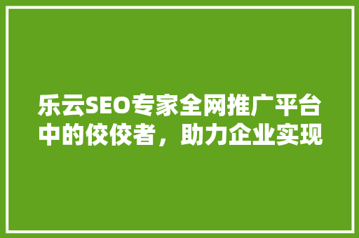 乐云SEO专家全网推广平台中的佼佼者，助力企业实现网络营销新突破