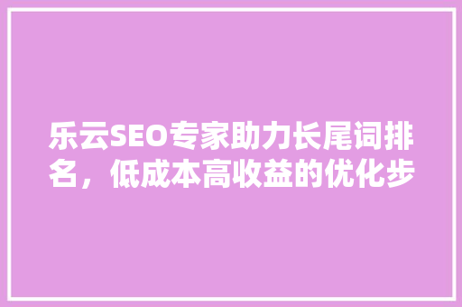 乐云SEO专家助力长尾词排名，低成本高收益的优化步骤