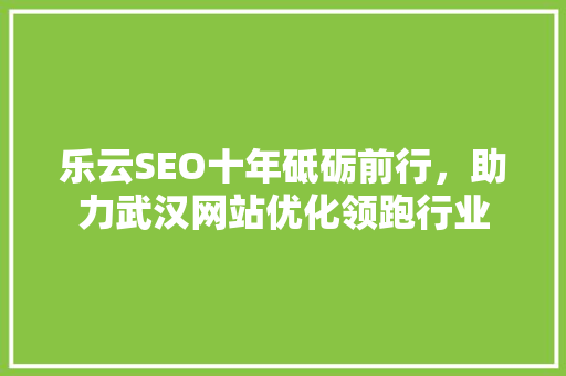 乐云SEO十年砥砺前行，助力武汉网站优化领跑行业