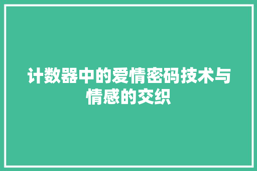 计数器中的爱情密码技术与情感的交织