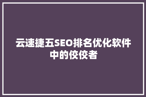 云速捷五SEO排名优化软件中的佼佼者