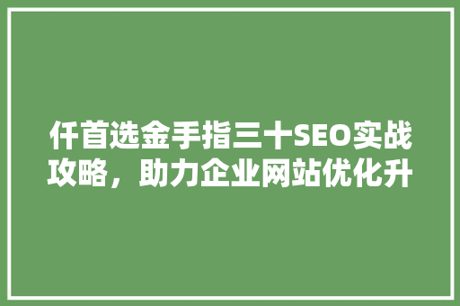 仟首选金手指三十SEO实战攻略，助力企业网站优化升级