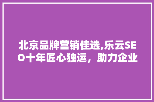北京品牌营销佳选,乐云SEO十年匠心独运，助力企业腾飞