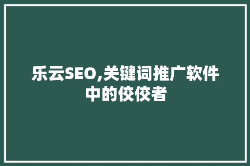 乐云SEO,关键词推广软件中的佼佼者