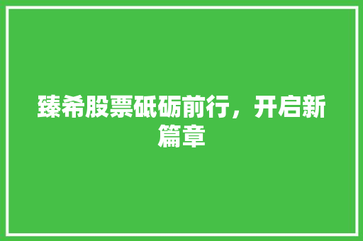 臻希股票砥砺前行，开启新篇章