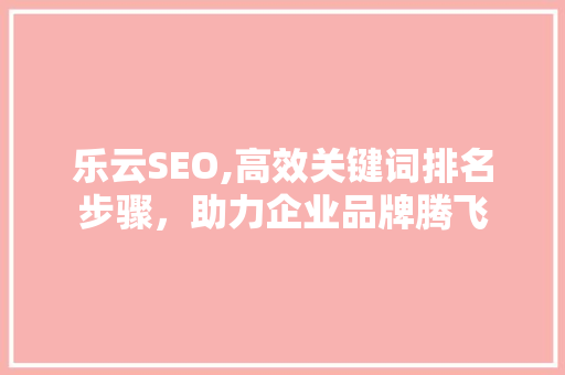 乐云SEO,高效关键词排名步骤，助力企业品牌腾飞