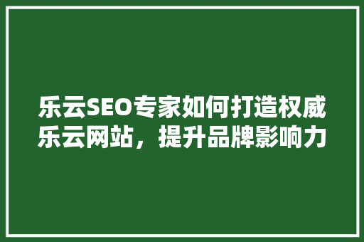 乐云SEO专家如何打造权威乐云网站，提升品牌影响力
