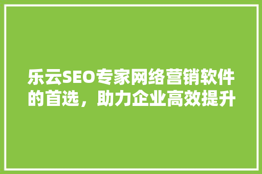 乐云SEO专家网络营销软件的首选，助力企业高效提升网站排名