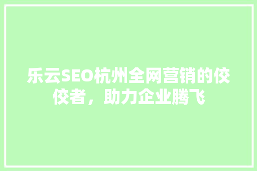 乐云SEO杭州全网营销的佼佼者，助力企业腾飞