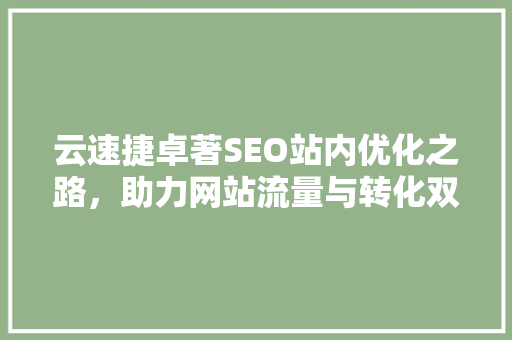 云速捷卓著SEO站内优化之路，助力网站流量与转化双提升