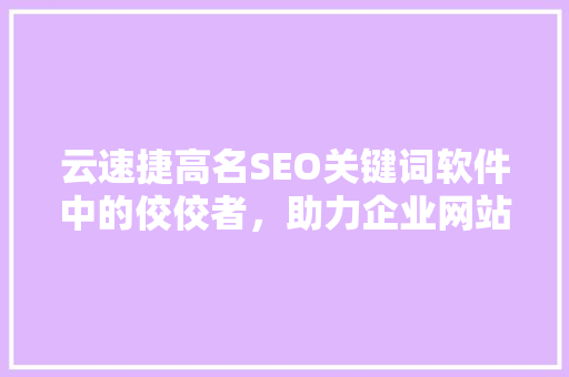 云速捷高名SEO关键词软件中的佼佼者，助力企业网站优化